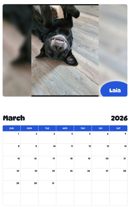 November 2025 - October 2026 Laia - Pawidols Pet Calendar