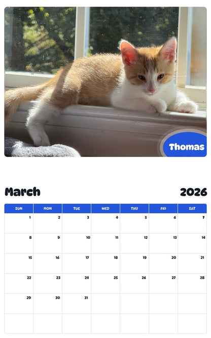 November 2025 - October 2026 Thomas - Pawidols Pet Calendar