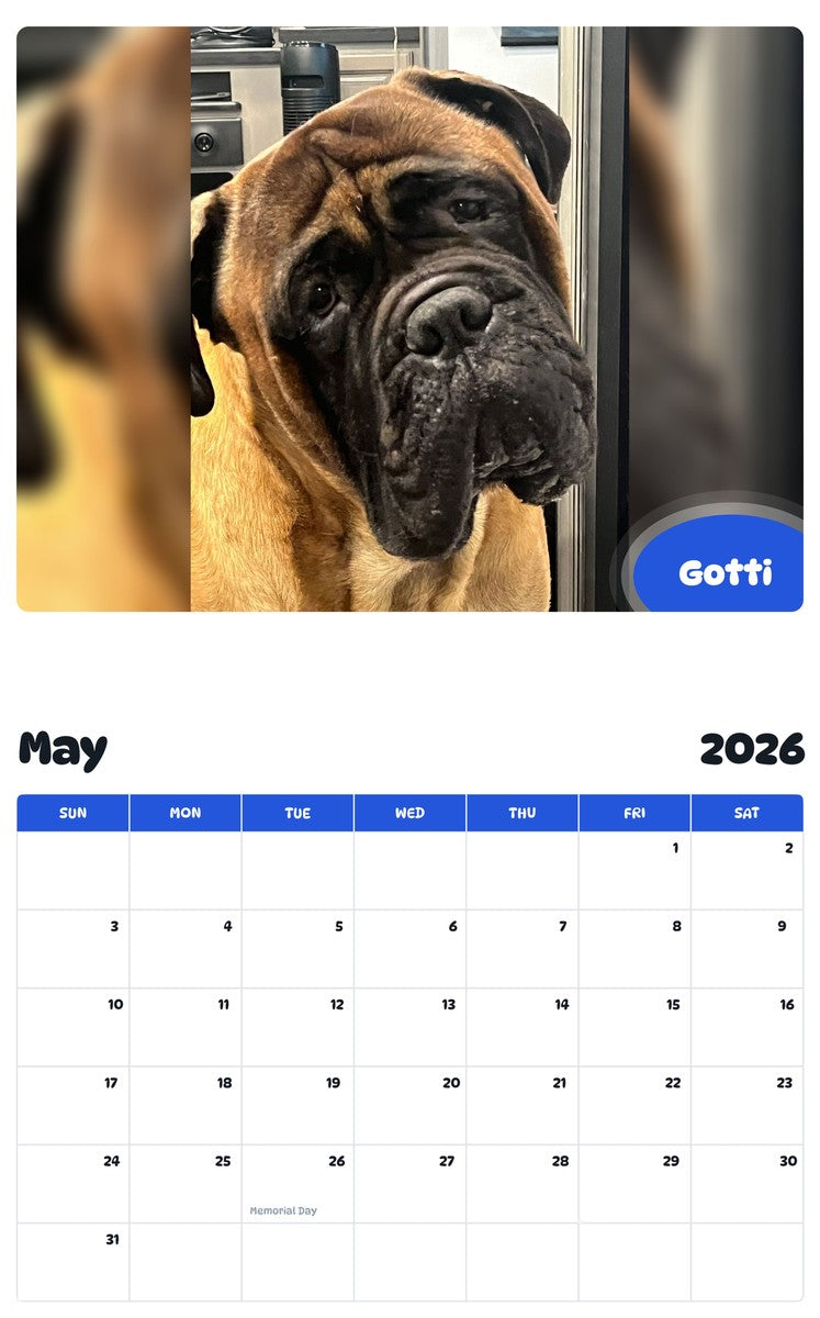 2026 - 2027 Gotti - Pawidols Pet Calendar