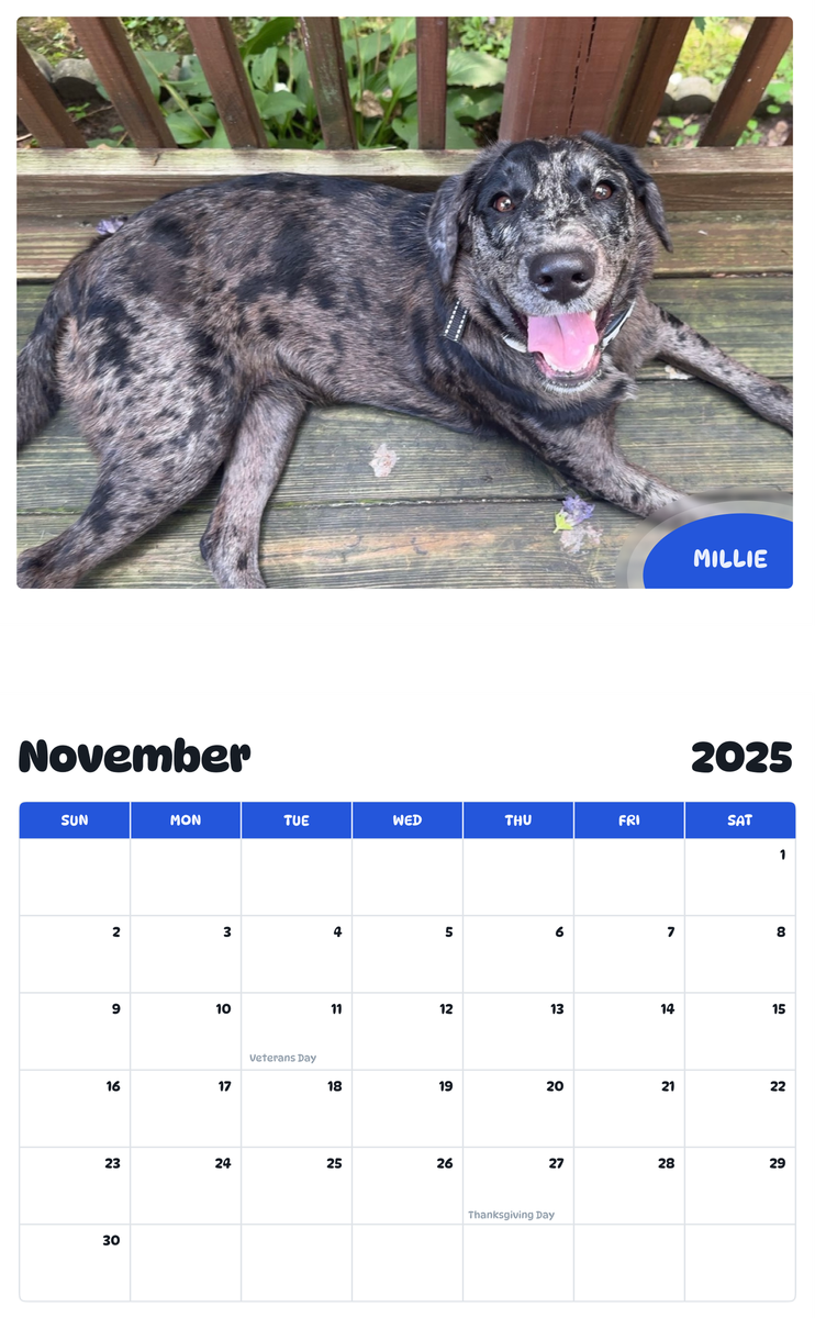 July 2025 - June 2026 Millie - Pawidols Pet Calendar
