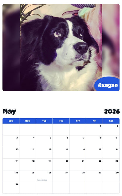 2026 - 2027 Reagan - Pawidols Pet Calendar