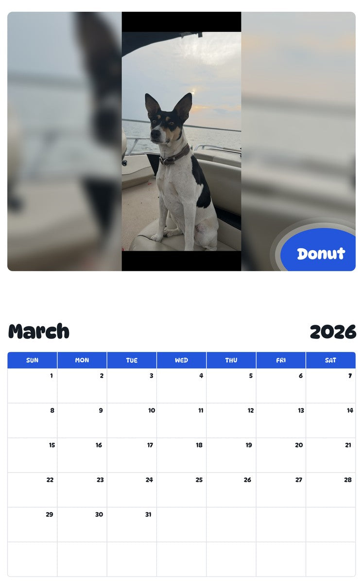 November 2025 - October 2026 Donut - Pawidols Pet Calendar