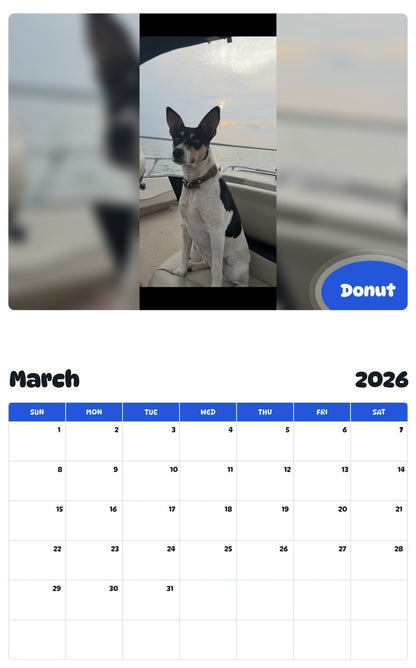 November 2025 - October 2026 Donut - Pawidols Pet Calendar