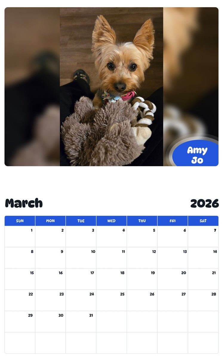 November 2025 - October 2026 Amy Jo - Pawidols Pet Calendar
