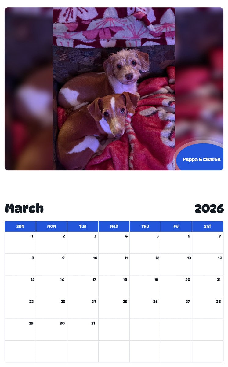 November 2025 - October 2026 Peppa & Charlie - Pawidols Pet Calendar