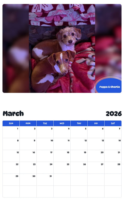 November 2025 - October 2026 Peppa & Charlie - Pawidols Pet Calendar
