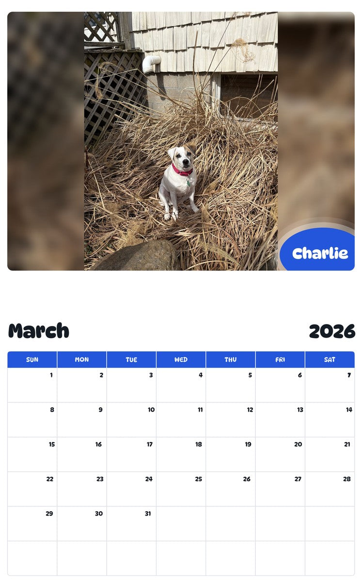 November 2025 - October 2026 Charlie - Pawidols Pet Calendar
