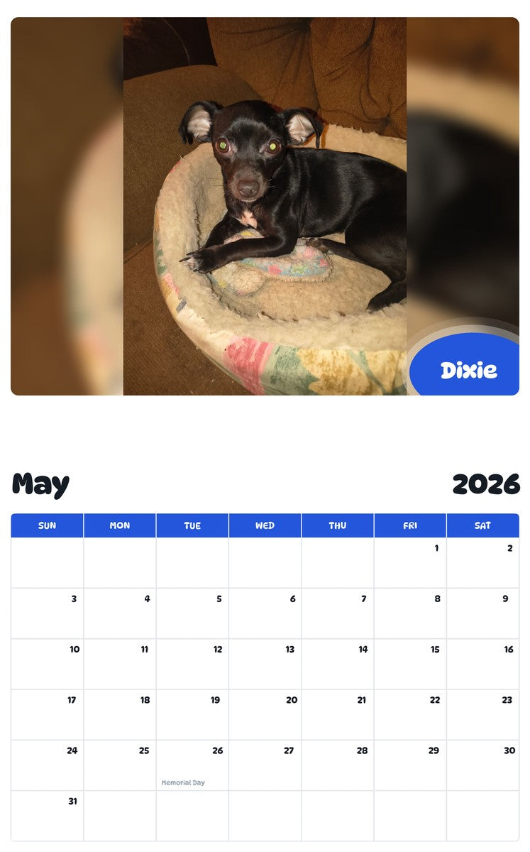 2026 - 2027 Dixie - Pawidols Pet Calendar