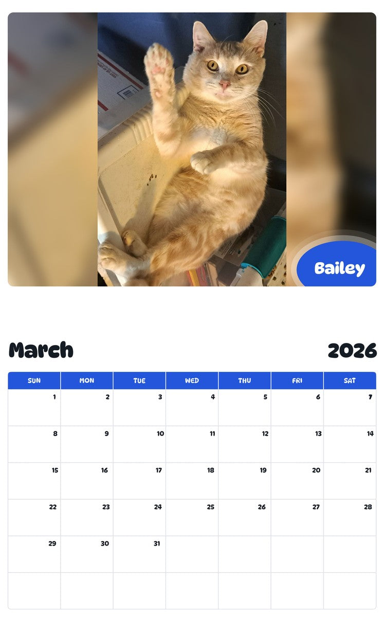 November 2025 - October 2026 Bailey - Pawidols Pet Calendar