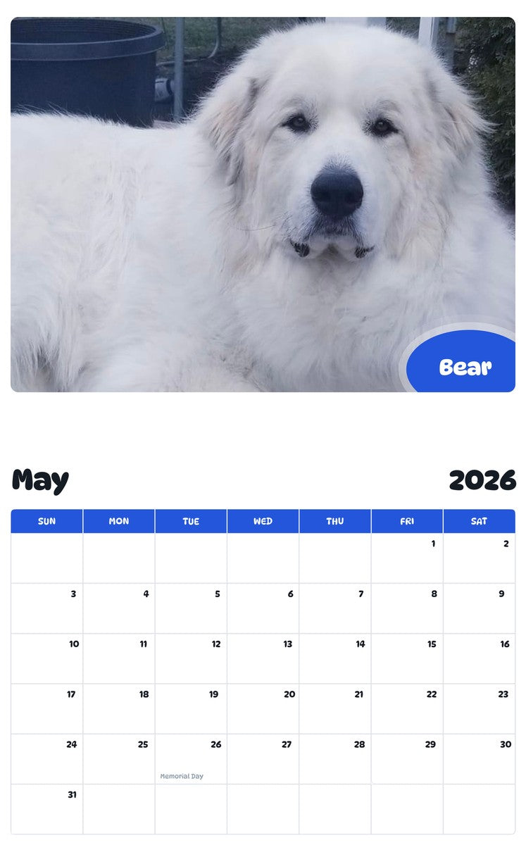 2026 - 2027 Bear - Pawidols Pet Calendar