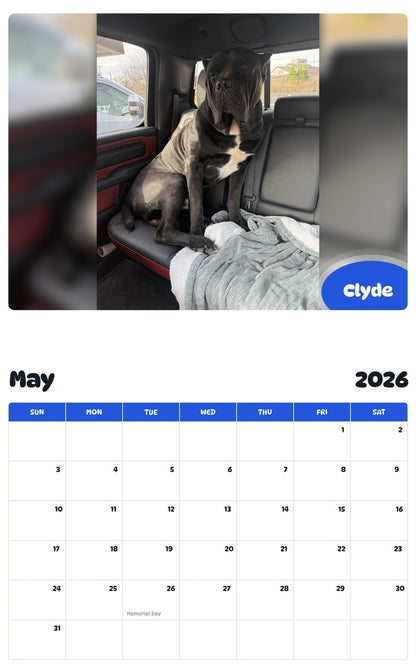 2026 - 2027 Clyde - Pawidols Pet Calendar