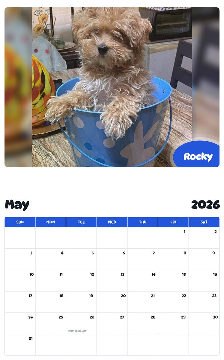 2026 - 2027 Rocky - Pawidols Pet Calendar