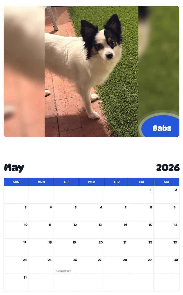 2026 - 2027 Babs - Pawidols Pet Calendar