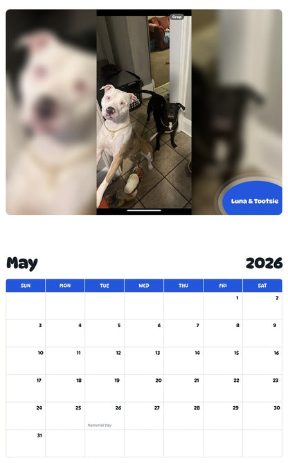 2026 - 2027 Luna & Tootsie - Pawidols Pet Calendar