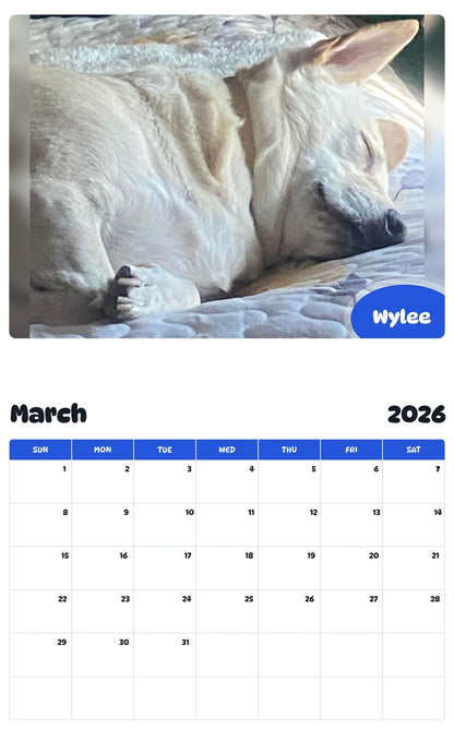 November 2025 - October 2026 Wylee - Pawidols Pet Calendar