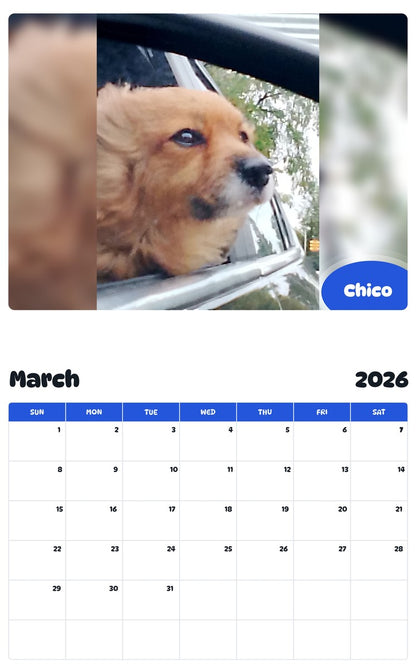 November 2025 - October 2026 Chico - Pawidols Pet Calendar