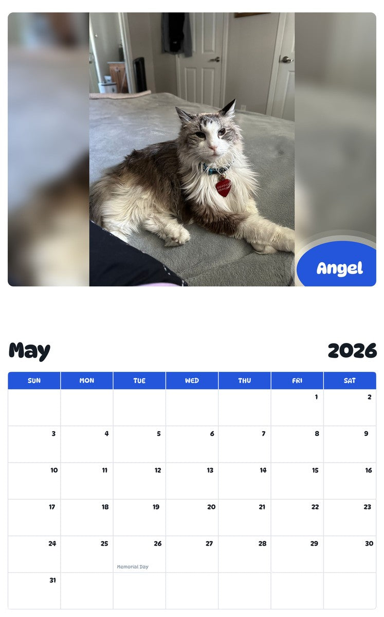 2026 - 2027 Angel - Pawidols Pet Calendar