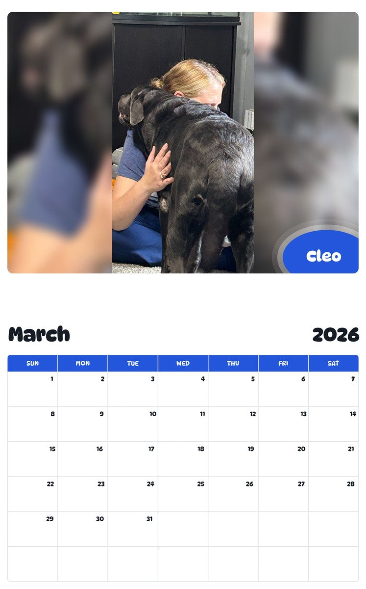 November 2025 - October 2026 Cleo - Pawidols Pet Calendar