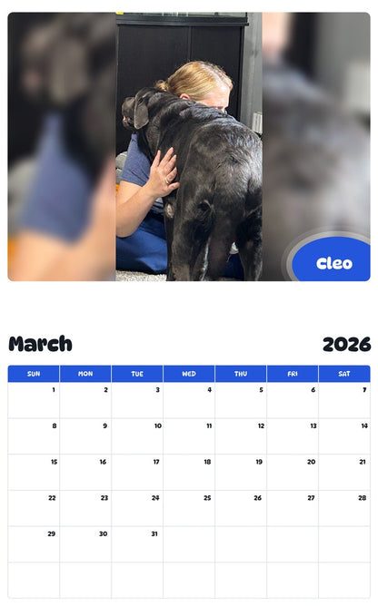 November 2025 - October 2026 Cleo - Pawidols Pet Calendar