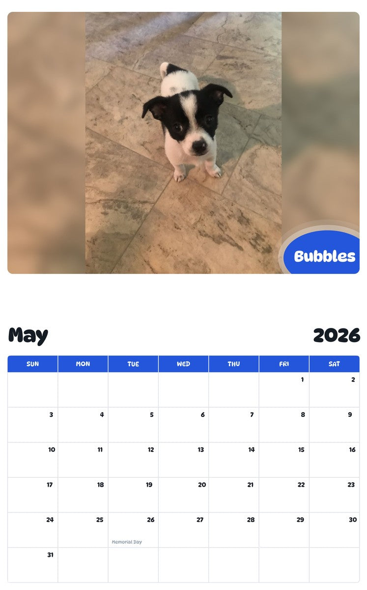 2026 - 2027 Bubbles - Pawidols Pet Calendar