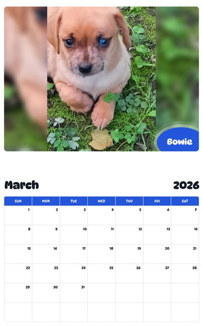 November 2025 - October 2026 Bowie - Pawidols Pet Calendar