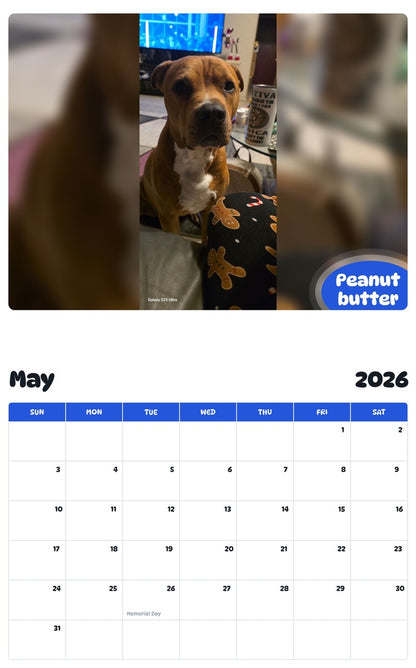 2026 - 2027 Peanut butter - Pawidols Pet Calendar