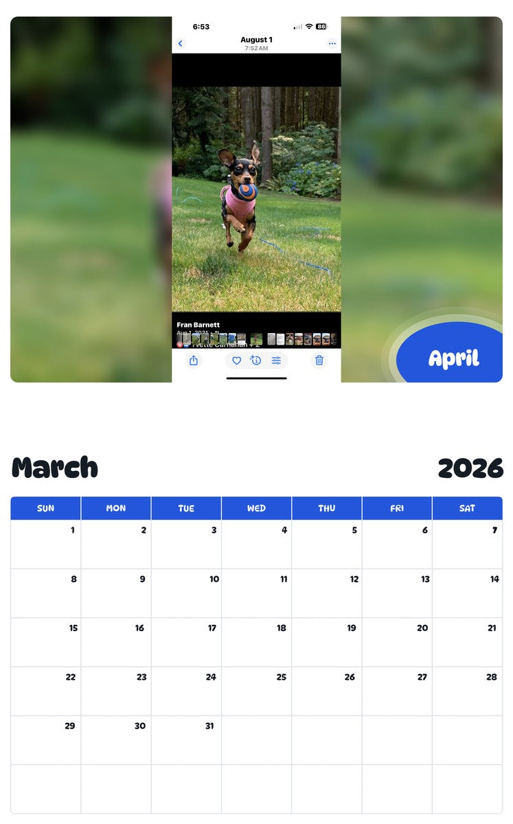 November 2025 - October 2026 April - Pawidols Pet Calendar