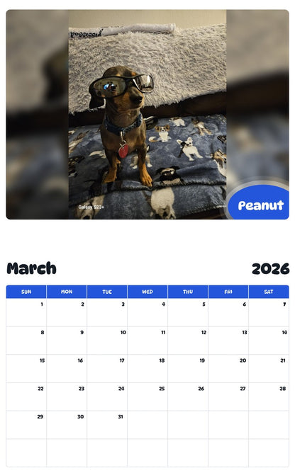 November 2025 - October 2026 Peanut - Pawidols Pet Calendar