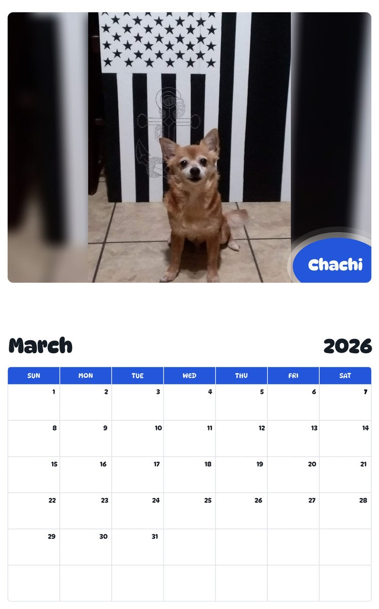 November 2025 - October 2026 Chachi - Pawidols Pet Calendar