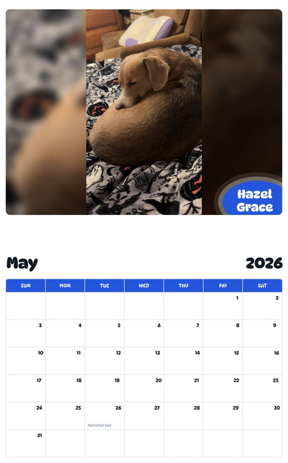 2026 - 2027 Hazel Grace - Pawidols Pet Calendar