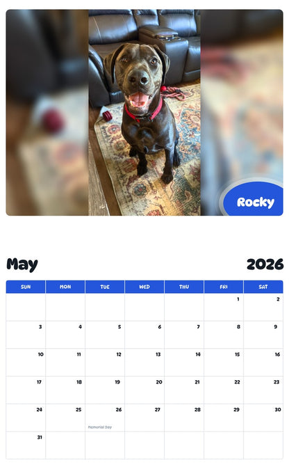 2026 - 2027 Rocky - Pawidols Pet Calendar
