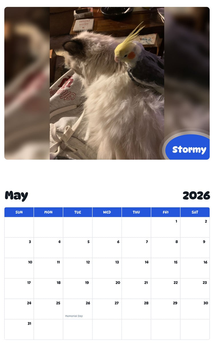 2026 - 2027 Stormy - Pawidols Pet Calendar