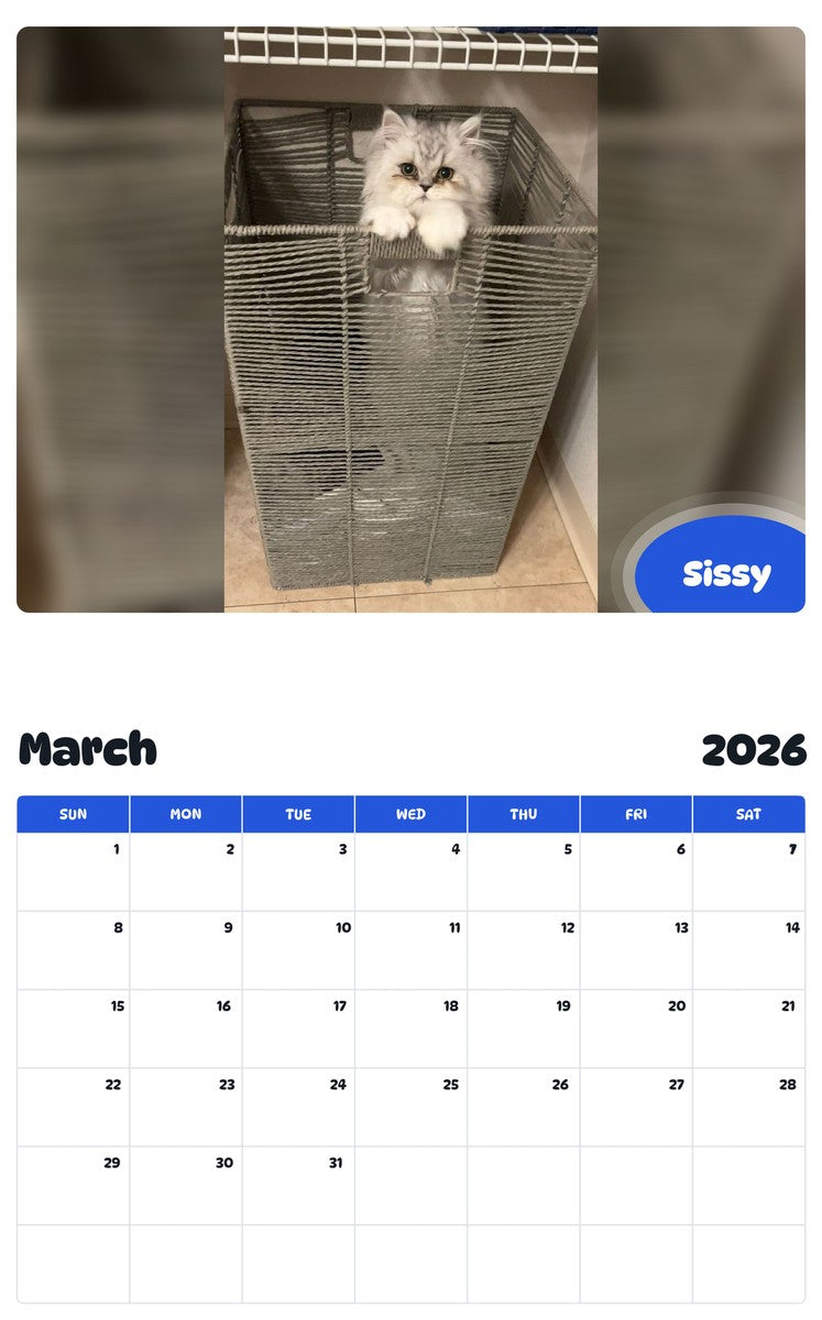 November 2025 - October 2026 Sissy - Pawidols Pet Calendar