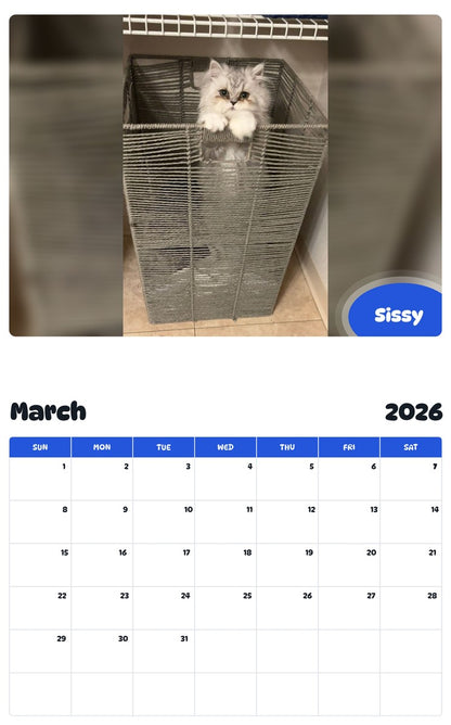 November 2025 - October 2026 Sissy - Pawidols Pet Calendar