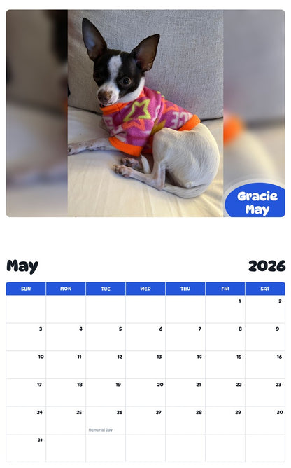 2026 - 2027 Gracie May - Pawidols Pet Calendar