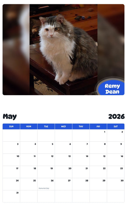 2026 - 2027 Remy Dean - Pawidols Pet Calendar