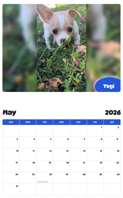 2026 - 2027 Yogi - Pawidols Pet Calendar