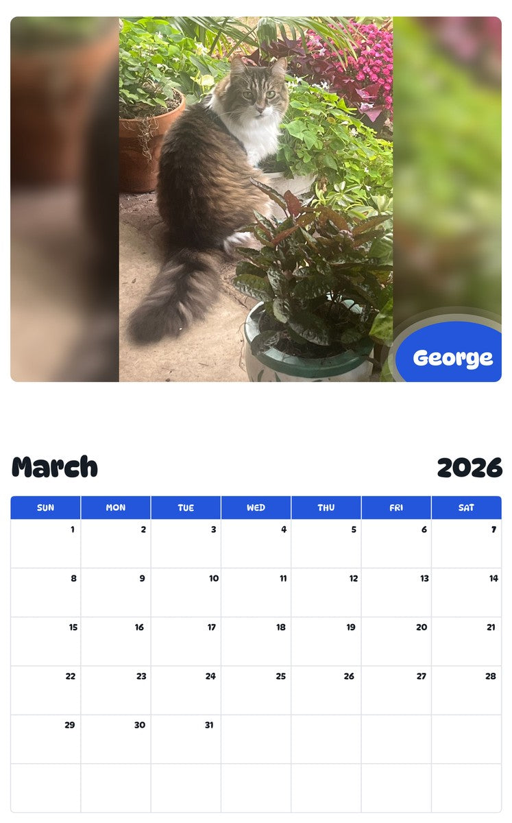 November 2025 - October 2026 George - Pawidols Pet Calendar