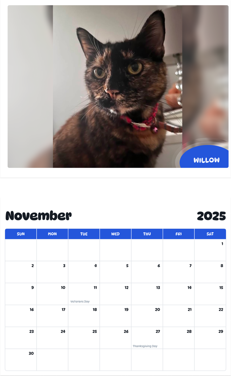 July 2025 - June 2026 Willow - Pawidols Pet Calendar
