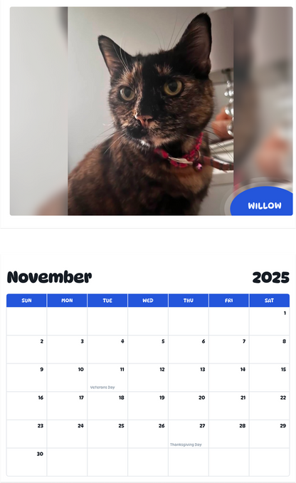 July 2025 - June 2026 Willow - Pawidols Pet Calendar