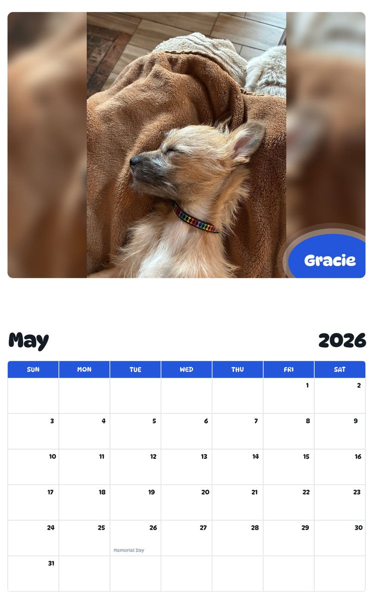 2026 - 2027 Gracie - Pawidols Pet Calendar