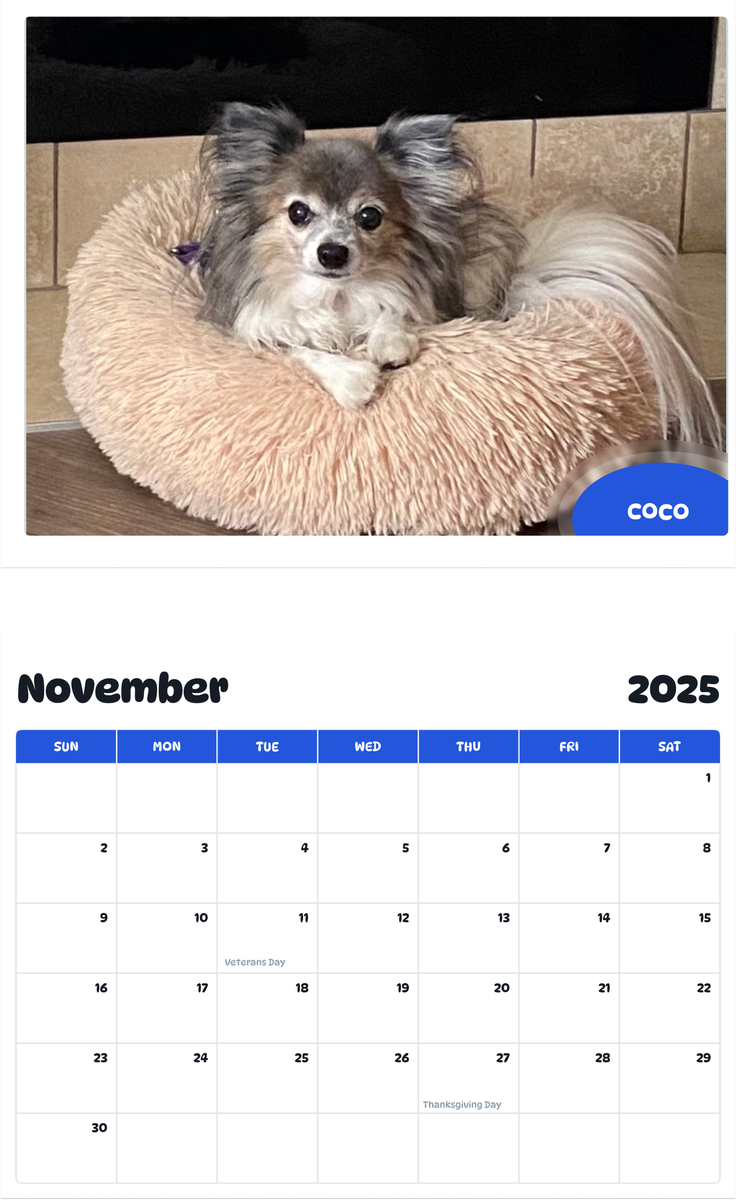 July 2025 - June 2026 Coco - Pawidols Pet Calendar