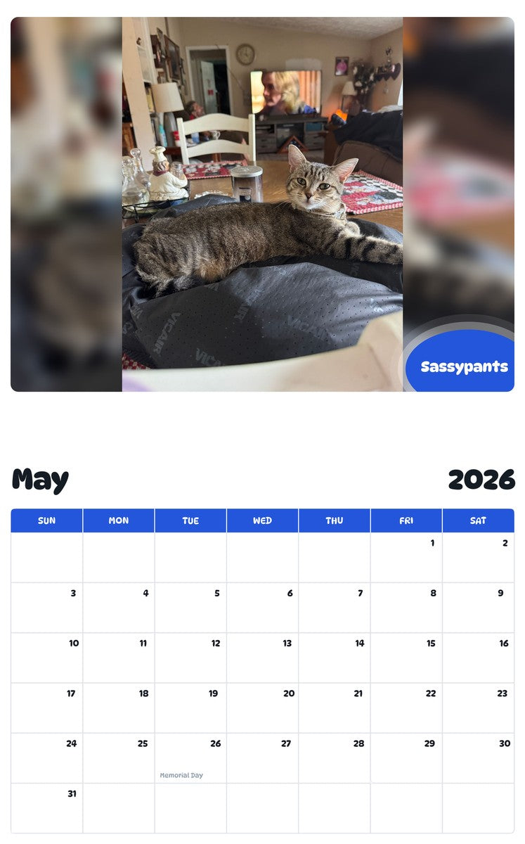 2026 - 2027 Sassypants - Pawidols Pet Calendar