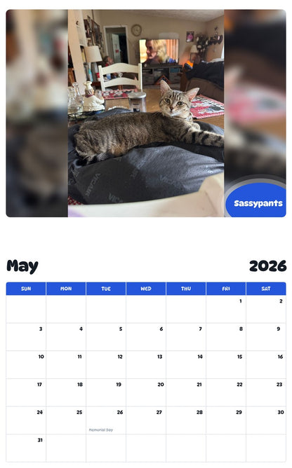 2026 - 2027 Sassypants - Pawidols Pet Calendar