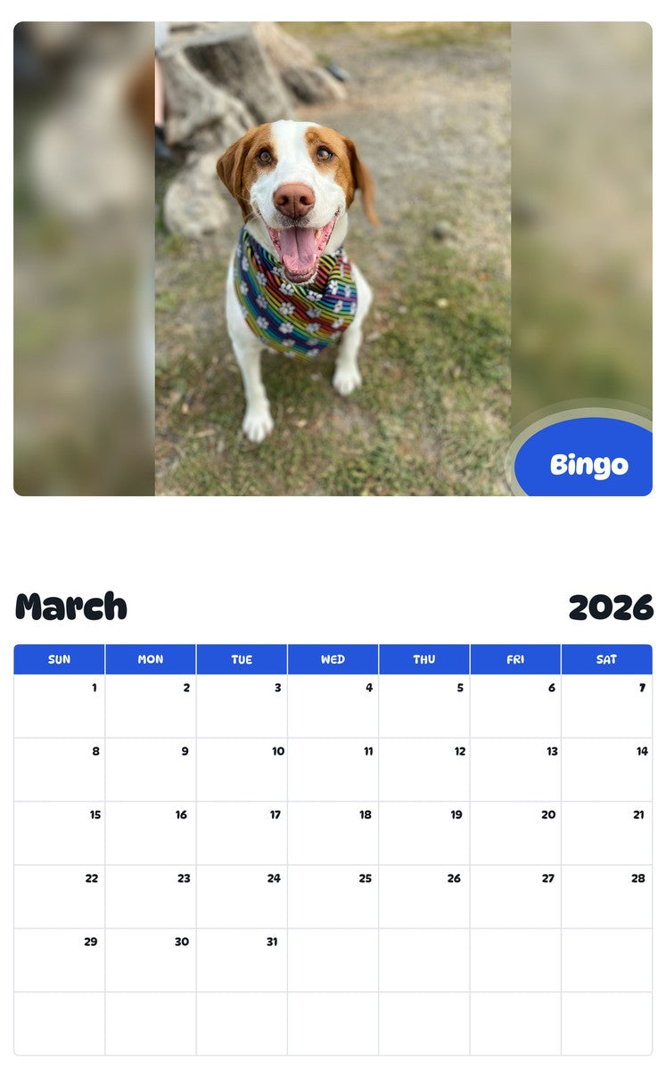 November 2025 - October 2026 Bingo - Pawidols Pet Calendar