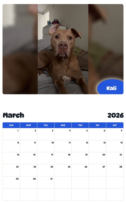 November 2025 - October 2026 Kali - Pawidols Pet Calendar