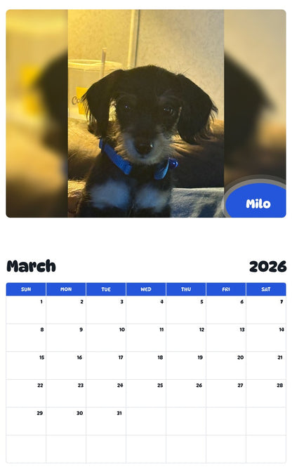 November 2025 - October 2026 Milo - Pawidols Pet Calendar