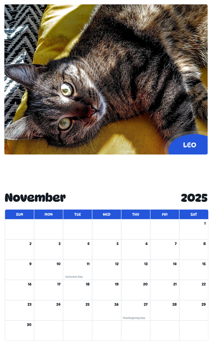 July 2025 - June 2026 Leo - Pawidols Pet Calendar