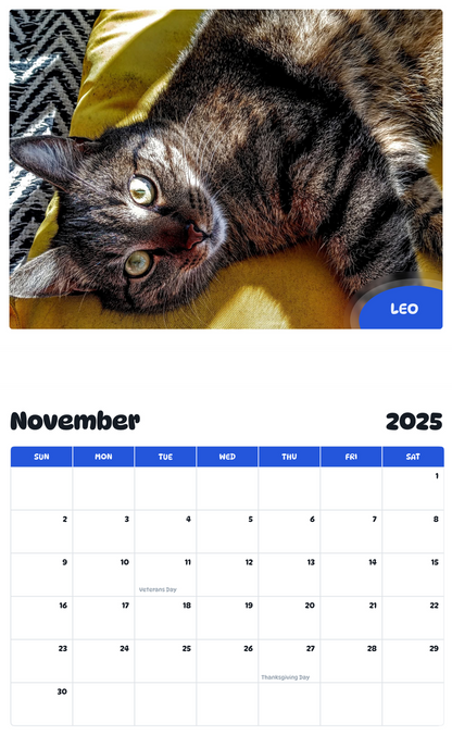 July 2025 - June 2026 Leo - Pawidols Pet Calendar