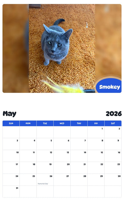 2026 - 2027 Smokey - Pawidols Pet Calendar